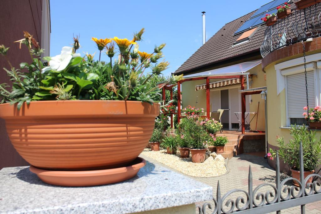 Molnar Apartment Шарвар Экстерьер фото